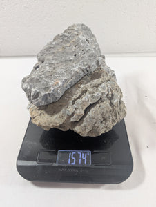 Seiryu Rock Aquascaping Premium Quality IWAGUMI Aquarium x3 1.5kg (RC10050)