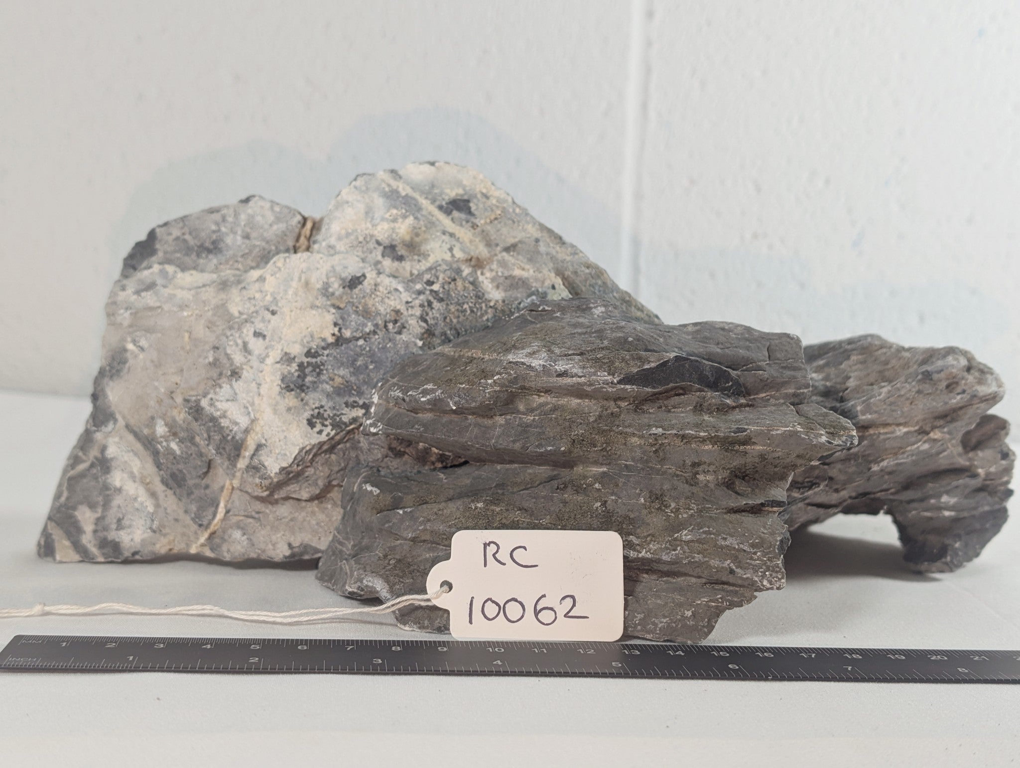 Seiryu Rock Aquascaping Premium Quality IWAGUMI Aquarium x3 2.6kg (RC10062)