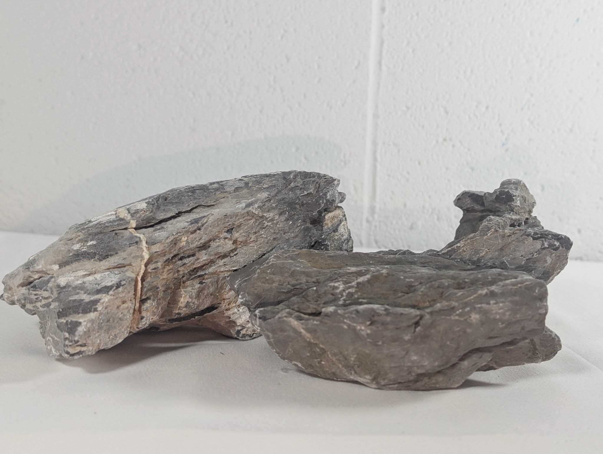 Seiryu Rock Aquascaping Premium Quality IWAGUMI Aquarium x3 2.6kg (RC10062)