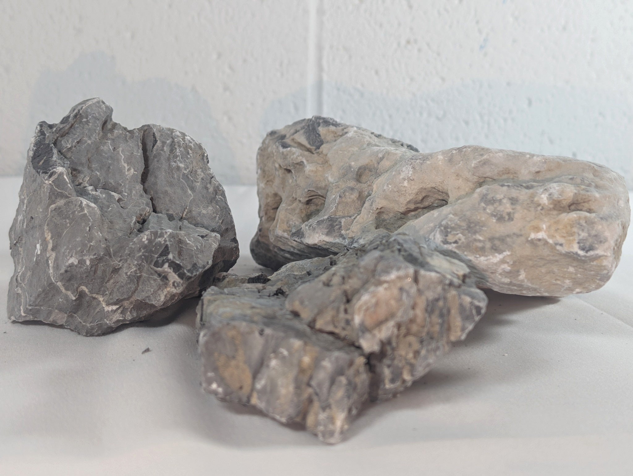 Seiryu Rock Aquascaping Premium Quality IWAGUMI Aquarium x3 2.2kg (RC10063)