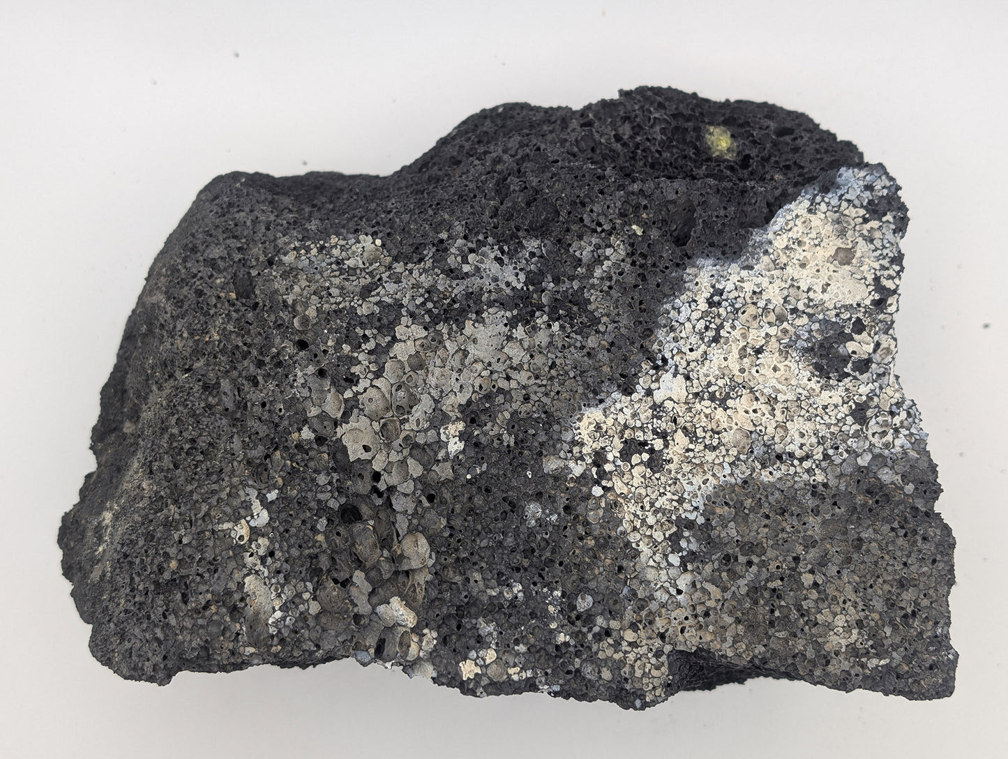 Black Lava Rock Volcanic Decoration Aquascaping Aquarium 1 Piece 1.3kg (RC10070)