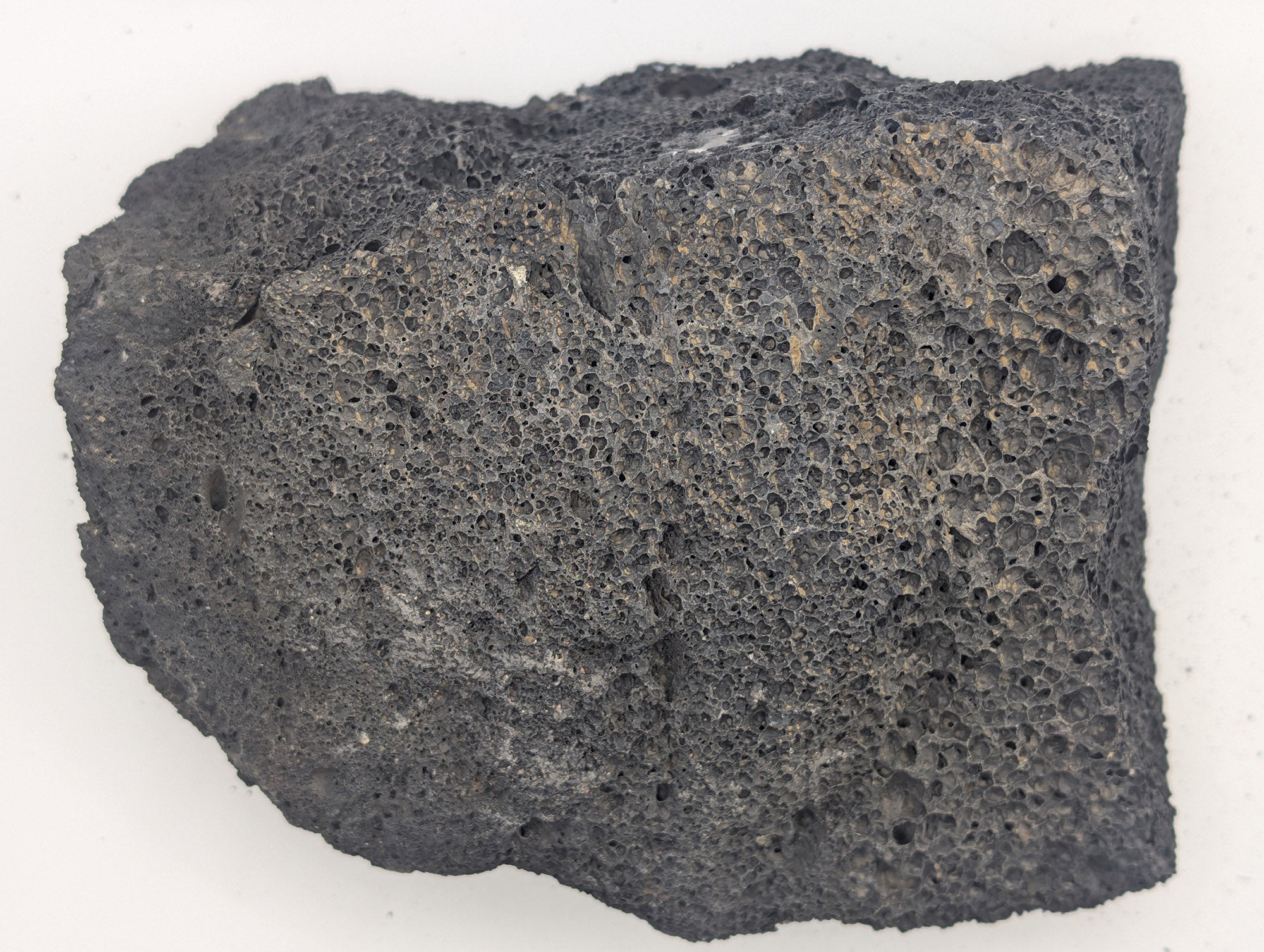 Black Lava Rock Volcanic Decoration Aquascaping Aquarium 1 Piece 1.3kg (RC10070)