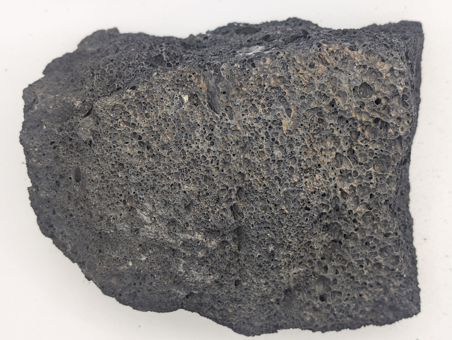 Black Lava Rock Volcanic Decoration Aquascaping Aquarium 1 Piece 1.3kg (RC10070)