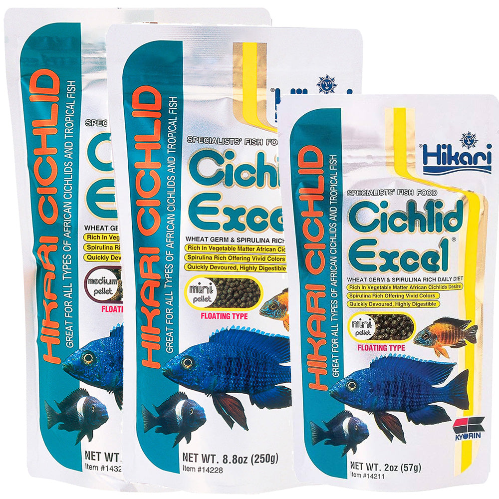 Hikari Cichlid Excel floating pellets in Mini and Medium sizes