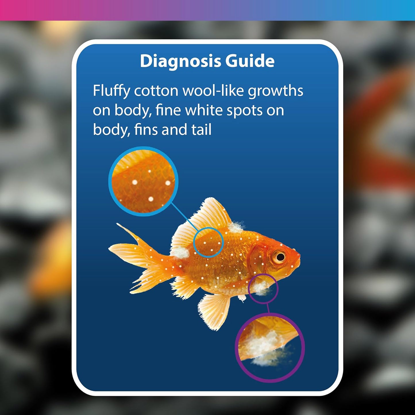 NT Labs Aquarium Anti-White Spot & Fungus Treatment