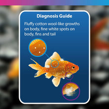 NT Labs Aquarium Anti-White Spot & Fungus Treatment