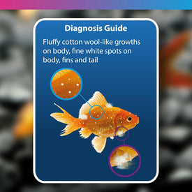 NT Labs Aquarium Anti-White Spot & Fungus Treatment