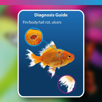 NT Labs Aquarium Anti-Ulcer & Finrot Treatment