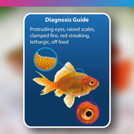 NT Labs Aquarium Anti-Internal Bacteria Treatment
