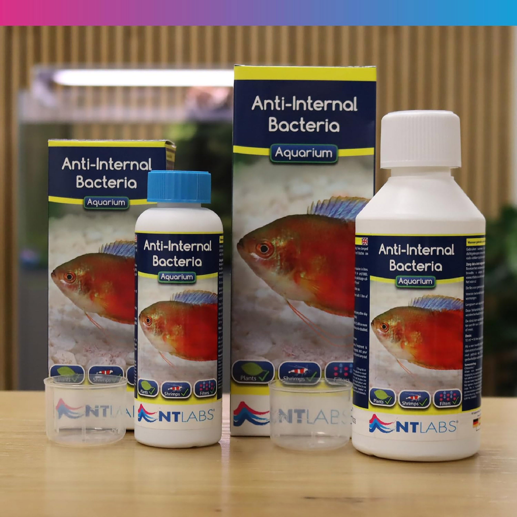 NT Labs Aquarium Anti-Internal Bacteria Treatment
