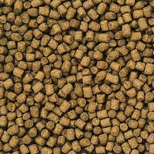 Hikari Lionhead Mini Pellets