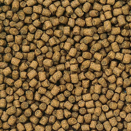 Hikari Lionhead Mini Pellets