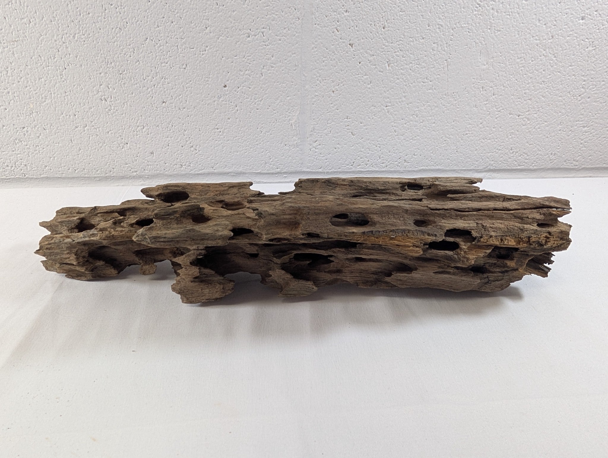 Natural Honeycomb Wood Catfish Shrimp Aquarium/Terrarium D40xW12xH9.5 (DW10011)