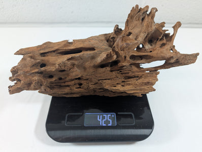 Natural Driftwood Wood Catfish Shrimp Aquascape Aquarium D25xW12xH10 (DW10012)