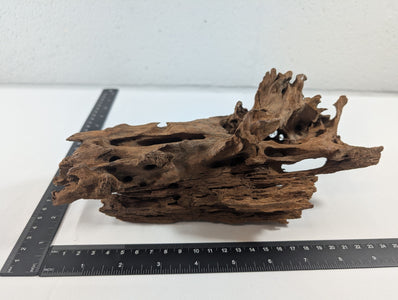 Natural Driftwood Wood Catfish Shrimp Aquascape Aquarium D25xW12xH10 (DW10012)
