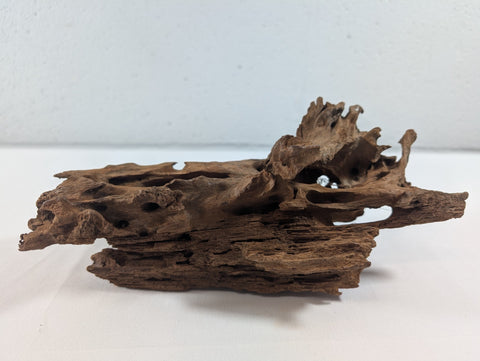 Image of Natural Driftwood Wood Catfish Shrimp Aquascape Aquarium D25xW12xH10 (DW10012)