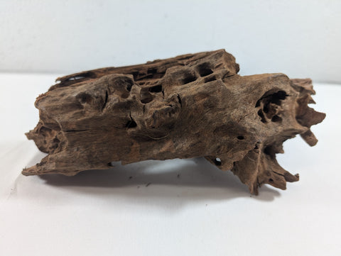 Image of Natural Driftwood Wood Catfish Shrimp Aquascape Aquarium D25xW12xH10 (DW10012)