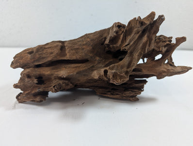 Natural Driftwood Wood Catfish Shrimp Aquascape Aquarium D25xW12xH10 (DW10012)