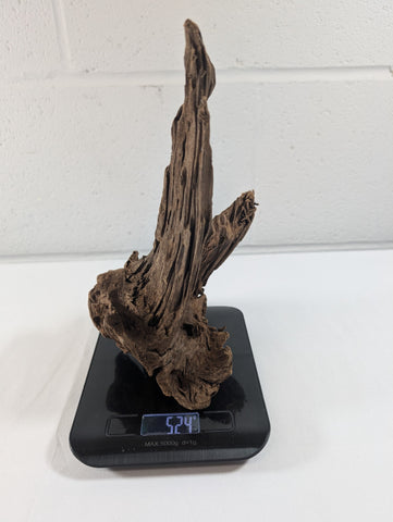 Image of Natural Driftwood Wood Catfish Shrimp Aquascape Aquarium D23xW16xH12 (DW10013)
