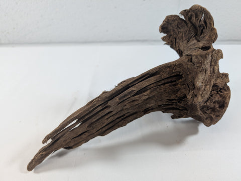 Image of Natural Driftwood Wood Catfish Shrimp Aquascape Aquarium D23xW16xH12 (DW10013)