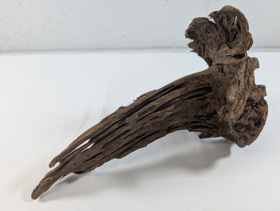 Natural Driftwood Wood Catfish Shrimp Aquascape Aquarium D23xW16xH12 (DW10013)