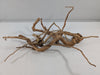 Natural Red Moor Wood Root Driftwood Aquarium/Terrarium 3 Pieces (DW10015)