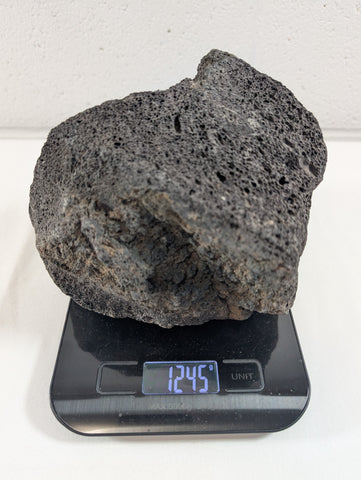 Image of Black Lava Rock Volcanic Decoration Aquascaping Aquarium 1 Piece 1.2kg (RC10016)
