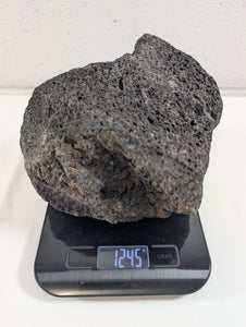 Black Lava Rock Volcanic Decoration Aquascaping Aquarium 1 Piece 1.2kg (RC10016)
