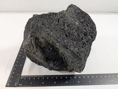 Black Lava Rock Volcanic Decoration Aquascaping Aquarium 1 Piece 1.2kg (RC10016)