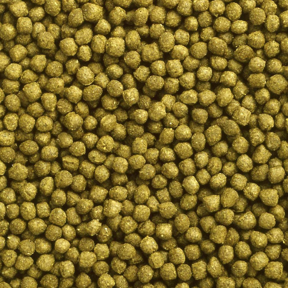 Hikari Oranda Gold Pellets 100g