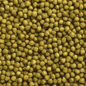 Hikari Oranda Gold Pellets 100g