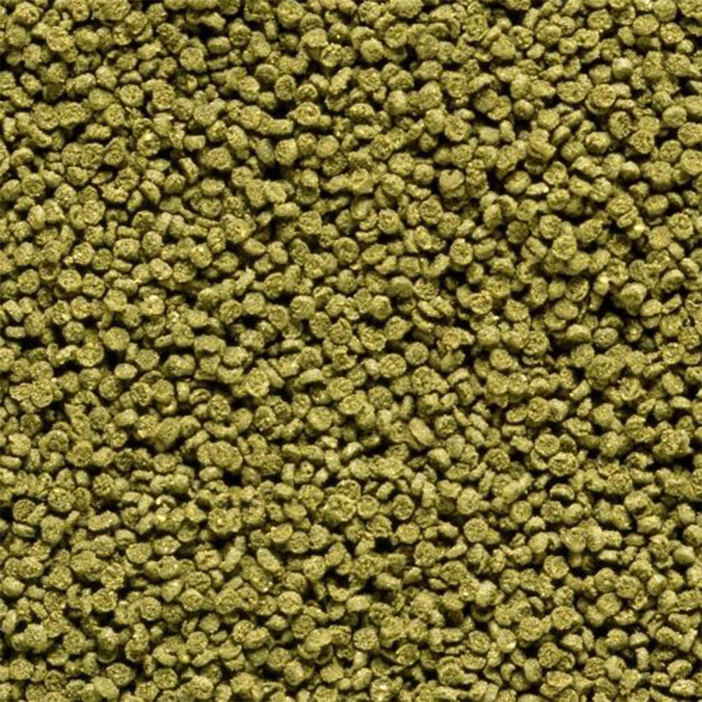 Hikari Shrimp Cuisine small sinking pellets for freshwater shrimp