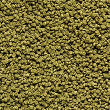 Hikari Shrimp Cuisine small sinking pellets for freshwater shrimp