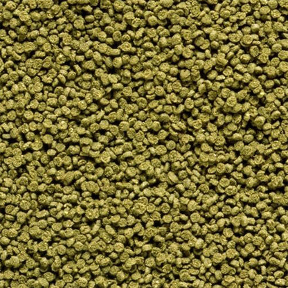 Hikari Shrimp Cuisine small sinking pellets for freshwater shrimp