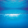 Juwel Poster 2 Blue Water Background (Small - 60x30cm)
